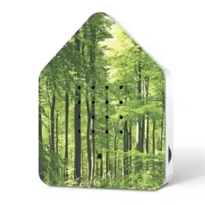 Zwitscherbox forest
